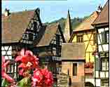 Blumen